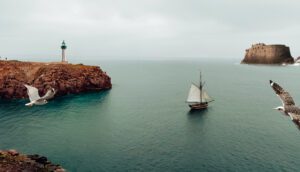 montage N°3- mouette décalée 3 - 30112023